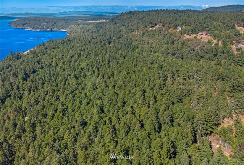 2 Lot Lazy, Friday Harbor, Washington 98250, ,Land,For Sale,Carefree Heights,Lazy,NWM1835945