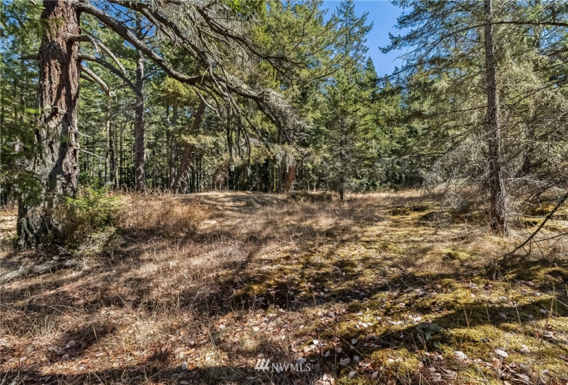 2 Lot Lazy, Friday Harbor, Washington 98250, ,Land,For Sale,Carefree Heights,Lazy,NWM1835945