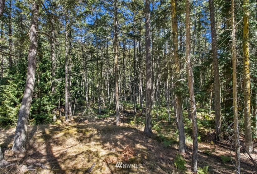 2 Lot Lazy, Friday Harbor, Washington 98250, ,Land,For Sale,Carefree Heights,Lazy,NWM1835945