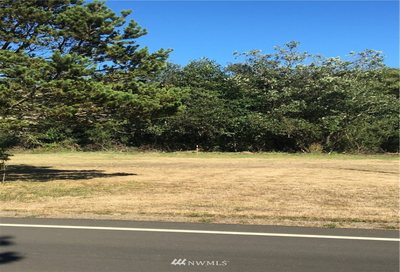 1604 Idaho, Long Beach, Washington 98631, ,Land,For Sale,tract 22 of Cape Cod Moor,Idaho,NWM1835307