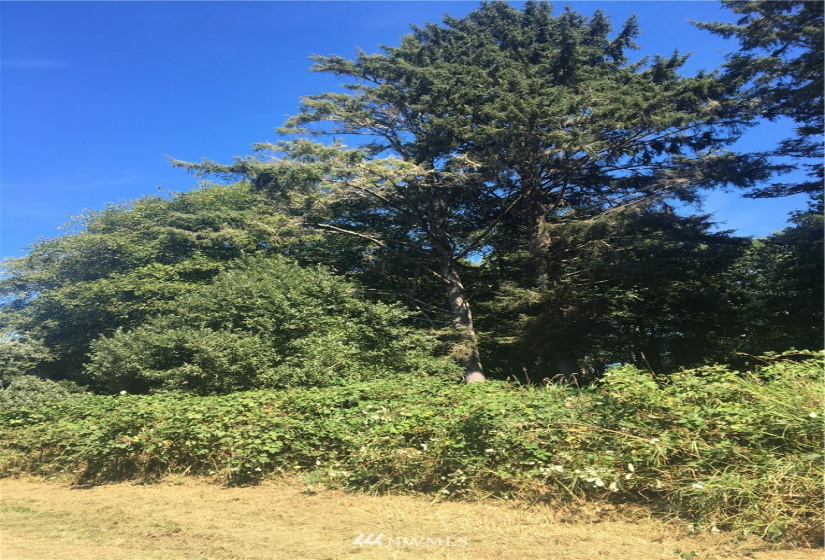 1606 Idaho, Long Beach, Washington 98631, ,Land,For Sale,Idaho,NWM1835308