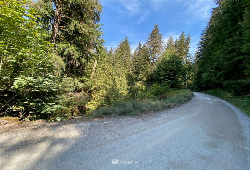 52321 Riverside, Index, Washington 98256, ,Land,For Sale,Riverside,NWM1836806