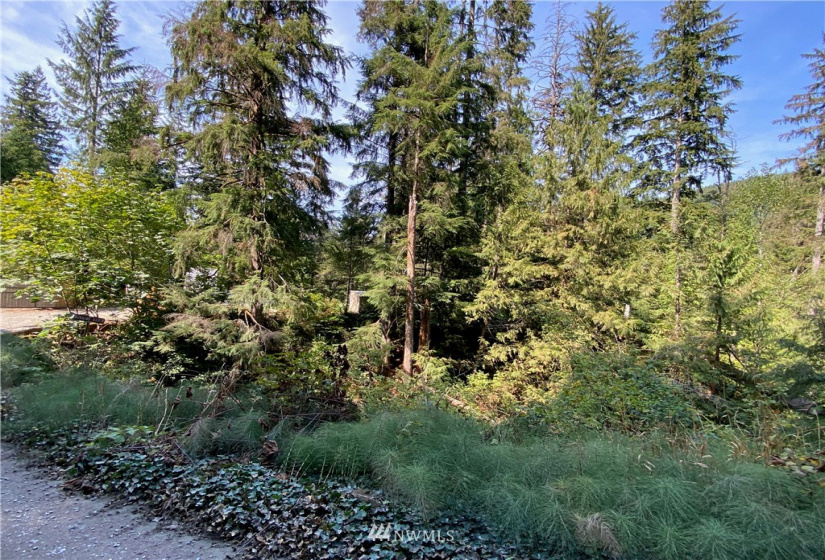 52321 Riverside, Index, Washington 98256, ,Land,For Sale,Riverside,NWM1836806