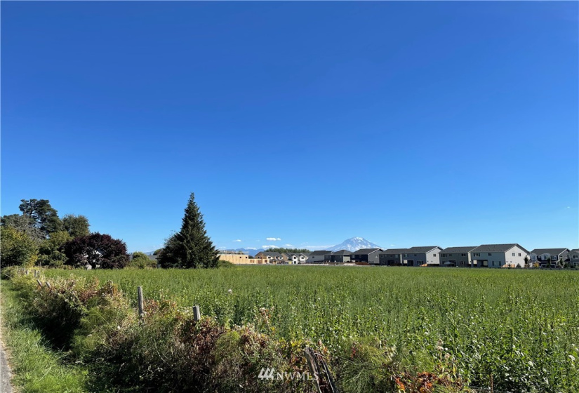 3102 16th, Puyallup, Washington 98371, ,Residential,For Sale,16th,NWM1836586