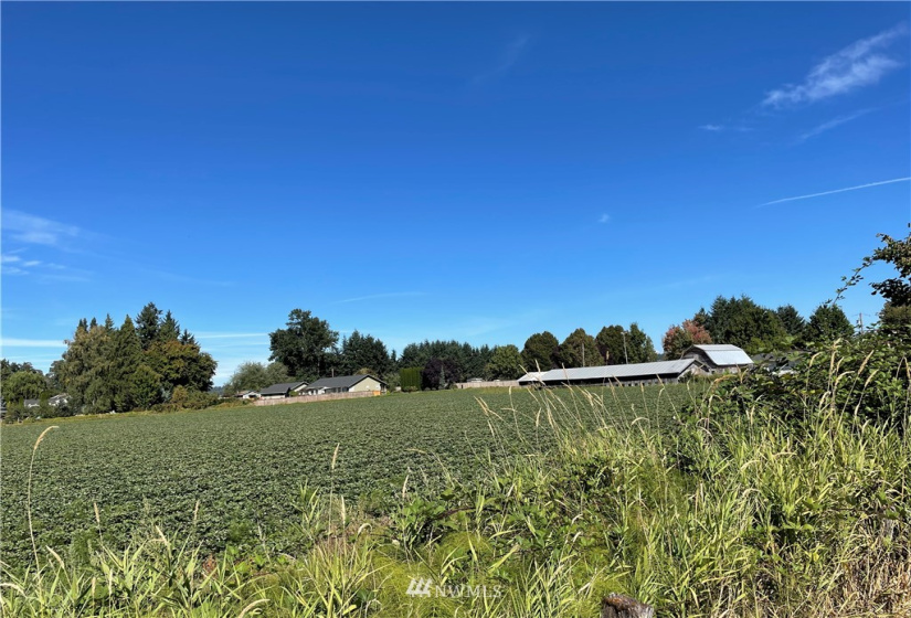 3102 16th, Puyallup, Washington 98371, ,Residential,For Sale,16th,NWM1836586