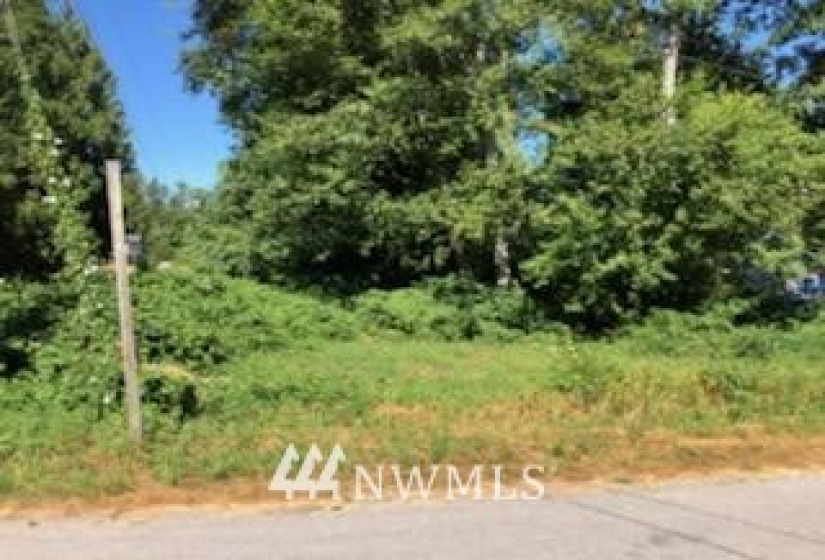 0 Rainbow, Sedro Woolley, Washington 98284, ,Land,For Sale,Rainbow,NWM1836518