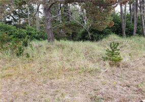 29812 K, Ocean Park, Washington 98640, ,Land,For Sale,Beach Addition,K,NWM1837380