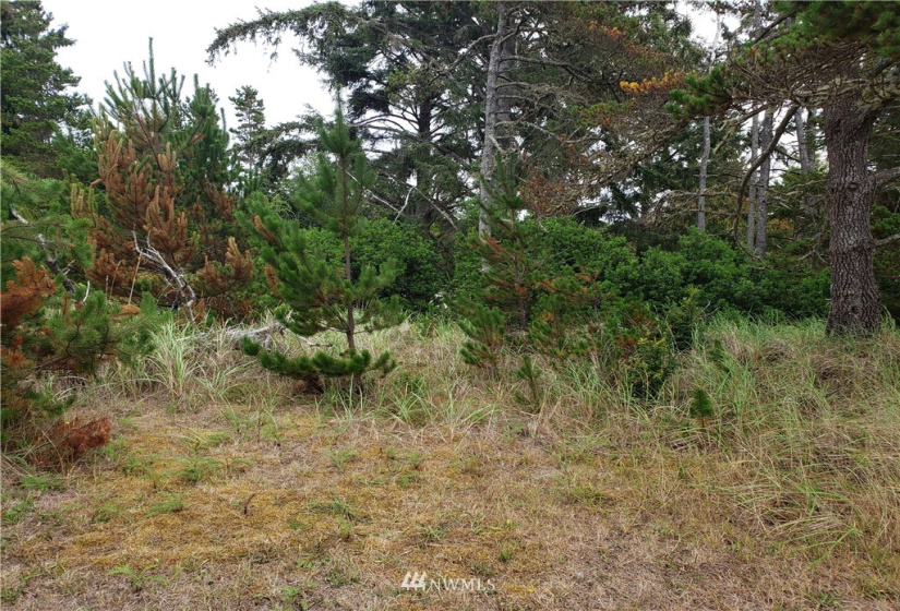 29812 K, Ocean Park, Washington 98640, ,Land,For Sale,Beach Addition,K,NWM1837380