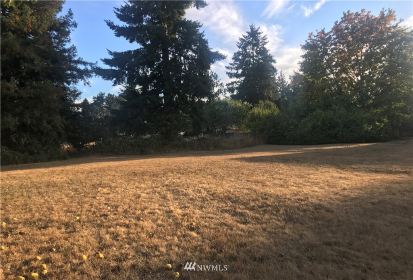 1230 Main, Centralia, Washington 98531, 2 Bedrooms Bedrooms, ,1 BathroomBathrooms,Residential,For Sale,Main,NWM1834683
