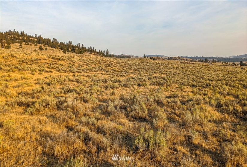 4 Spring, Tonasket, Washington 98855, ,Land,For Sale,Spring,NWM1831842
