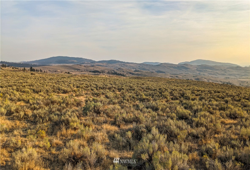 4 Spring, Tonasket, Washington 98855, ,Land,For Sale,Spring,NWM1831842