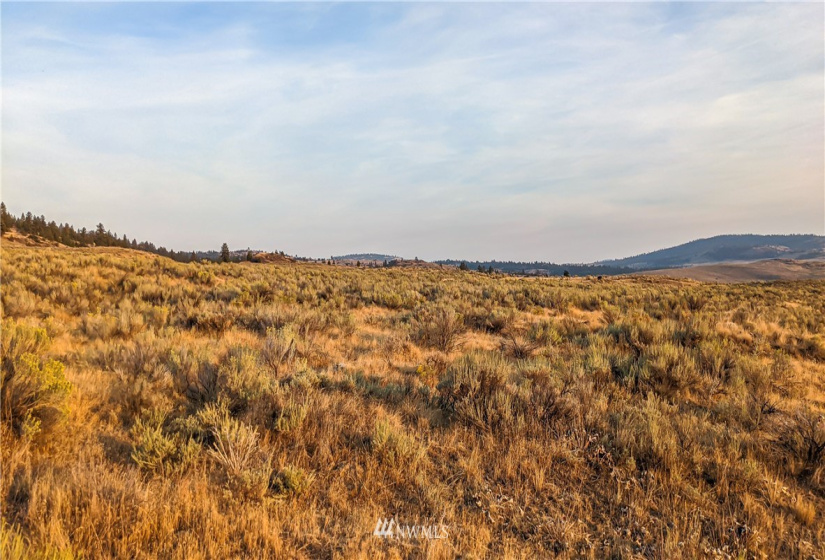 4 Spring, Tonasket, Washington 98855, ,Land,For Sale,Spring,NWM1831842
