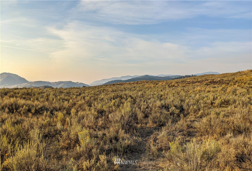 4 Spring, Tonasket, Washington 98855, ,Land,For Sale,Spring,NWM1831842