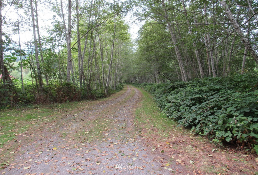 10055 Hornbeck, Concrete, Washington 98284, ,Land,For Sale,Hornbeck,NWM1837567