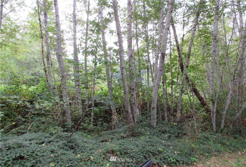 10055 Hornbeck, Concrete, Washington 98284, ,Land,For Sale,Hornbeck,NWM1837567