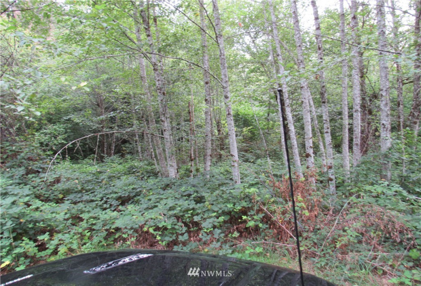 10055 Hornbeck, Concrete, Washington 98284, ,Land,For Sale,Hornbeck,NWM1837567