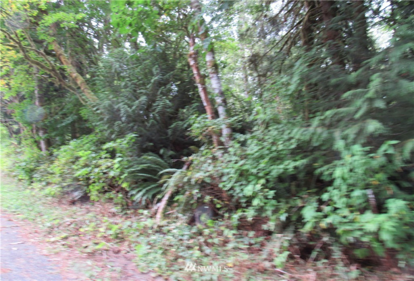 50720 Hornbeck, Concrete, Washington 98284, ,Land,For Sale,Hornbeck,NWM1837577