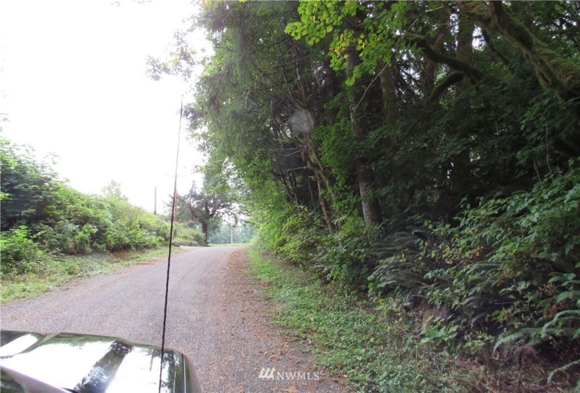 50720 Hornbeck, Concrete, Washington 98284, ,Land,For Sale,Hornbeck,NWM1837577