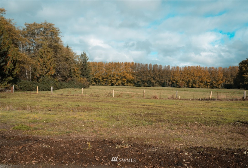 9 X Wynooche Tracts, Montesano, Washington 98563, ,Land,For Sale,Wynooche Tracts,NWM1837604