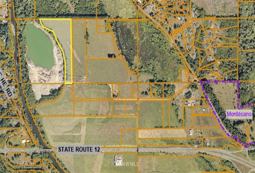 9 X Wynooche Tracts, Montesano, Washington 98563, ,Land,For Sale,Wynooche Tracts,NWM1837604