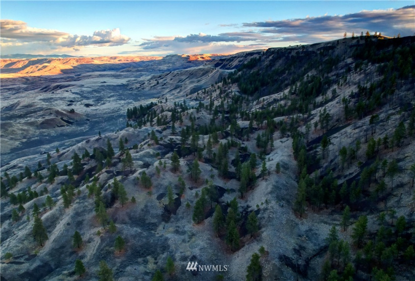 100 Webers, Grand Coulee, Washington 98813, ,Land,For Sale,Buck Spring,Webers,NWM1838016