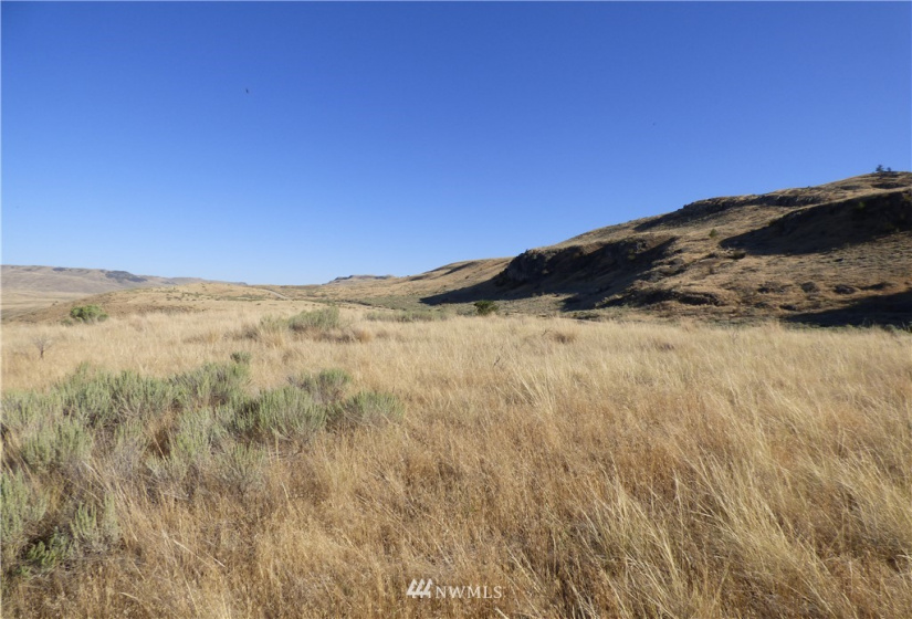 100 Webers, Grand Coulee, Washington 98813, ,Land,For Sale,Buck Spring,Webers,NWM1838016