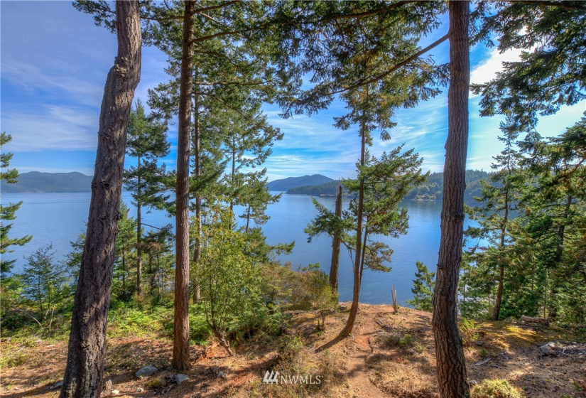 1292 Pioneer Hill, Orcas Island, Washington 98279, 3 Bedrooms Bedrooms, ,3 BathroomsBathrooms,Residential,For Sale,Pioneer Hill,NWM1838046