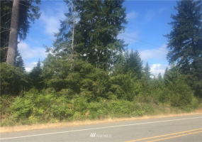 16681 State Route 302, Gig Harbor, Washington 98329, ,Land,For Sale,State Route 302,NWM1832776