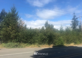 16633 State Route 302, Gig Harbor, Washington 98329, ,Land,For Sale,State Route 302,NWM1832815