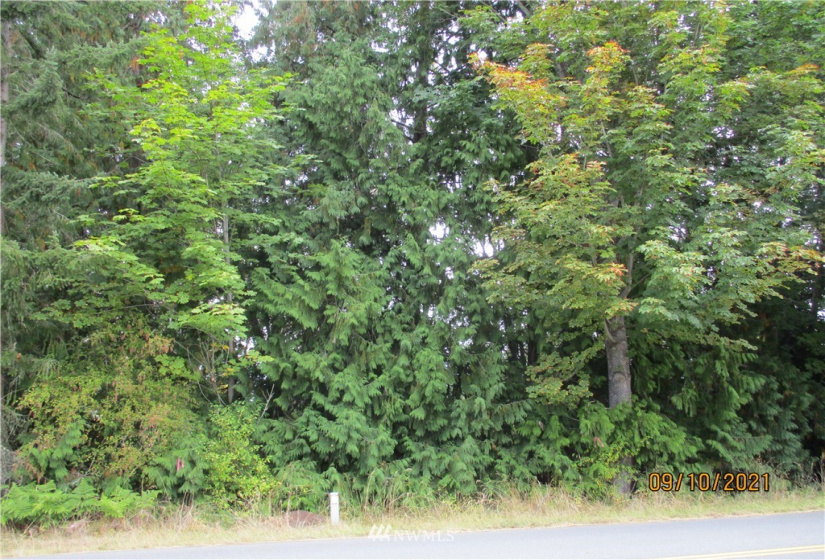 9999 Atterberry, Sequim, Washington 98382, ,Land,For Sale,Atterberry,NWM1838450