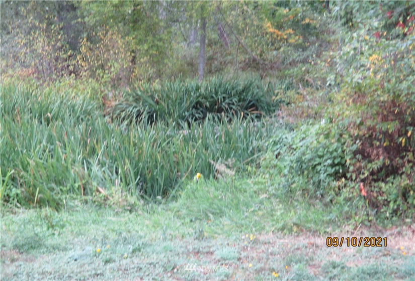 9999 Atterberry, Sequim, Washington 98382, ,Land,For Sale,Atterberry,NWM1838450