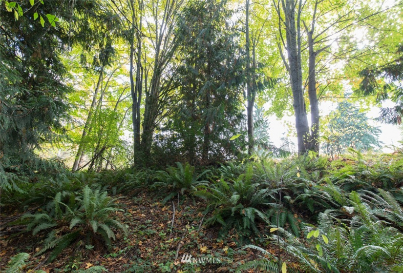 9999 Atterberry, Sequim, Washington 98382, ,Land,For Sale,Atterberry,NWM1838450