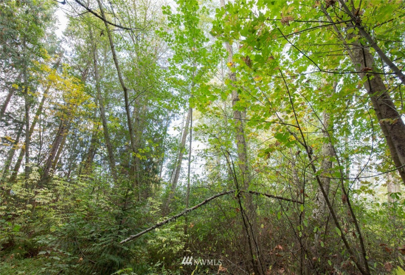 9999 Atterberry, Sequim, Washington 98382, ,Land,For Sale,Atterberry,NWM1838450