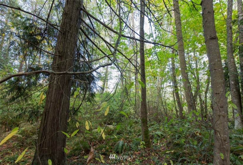 9999 Atterberry, Sequim, Washington 98382, ,Land,For Sale,Atterberry,NWM1838450