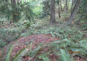 9999 Atterberry, Sequim, Washington 98382, ,Land,For Sale,Atterberry,NWM1838450