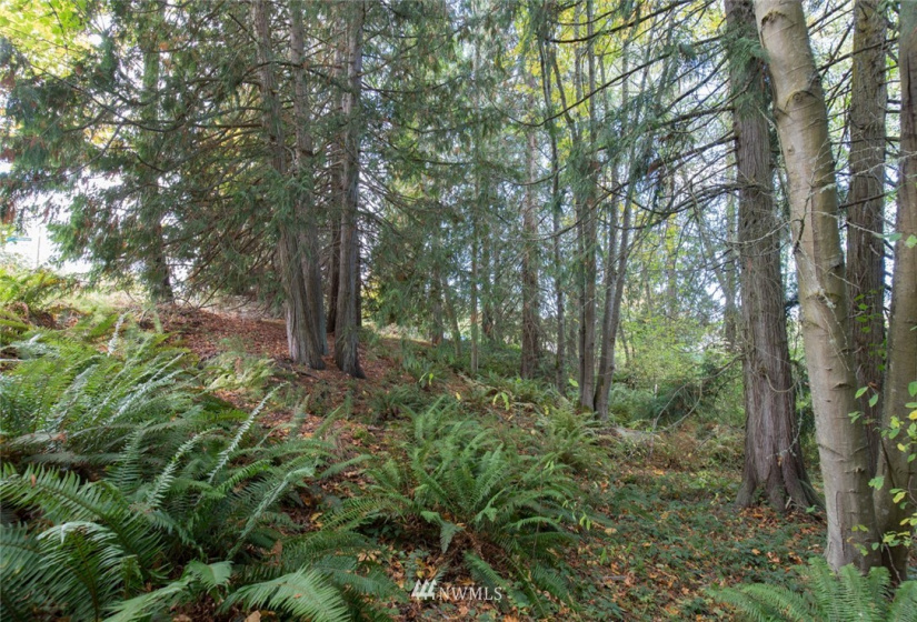 9999 Atterberry, Sequim, Washington 98382, ,Land,For Sale,Atterberry,NWM1838450