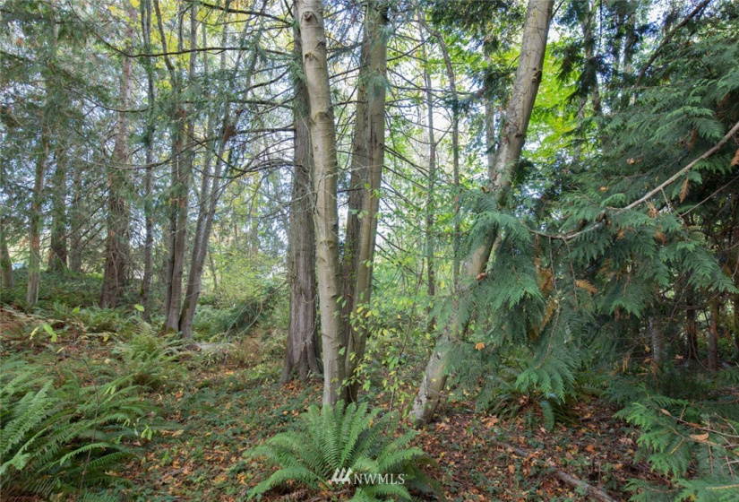 9999 Atterberry, Sequim, Washington 98382, ,Land,For Sale,Atterberry,NWM1838450