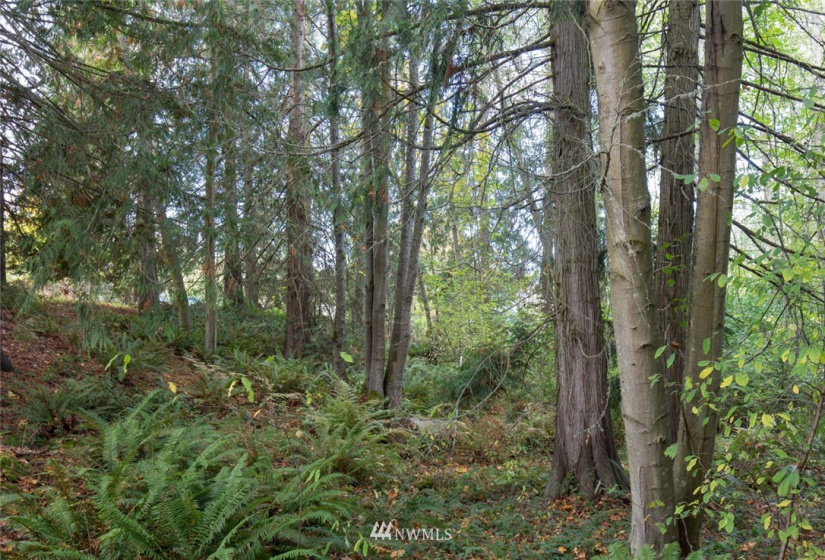 9999 Atterberry, Sequim, Washington 98382, ,Land,For Sale,Atterberry,NWM1838450