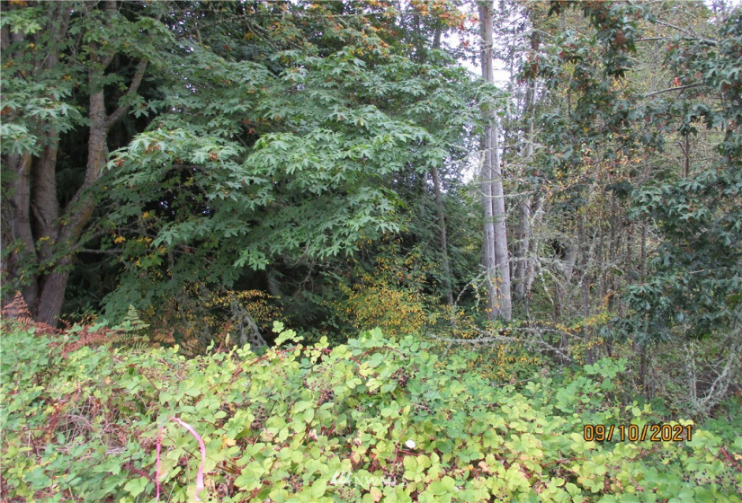 9999 Atterberry, Sequim, Washington 98382, ,Land,For Sale,Atterberry,NWM1838450