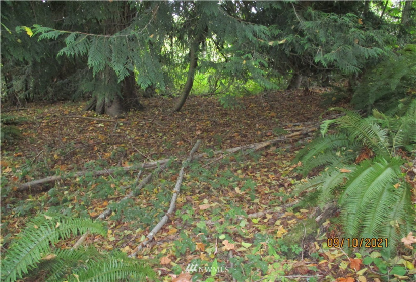9999 Atterberry, Sequim, Washington 98382, ,Land,For Sale,Atterberry,NWM1838450