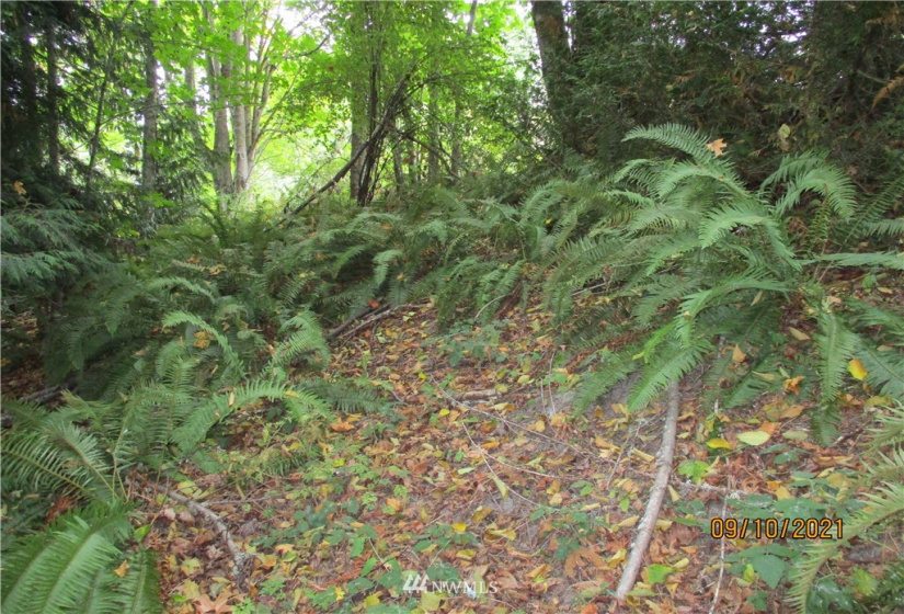 9999 Atterberry, Sequim, Washington 98382, ,Land,For Sale,Atterberry,NWM1838450