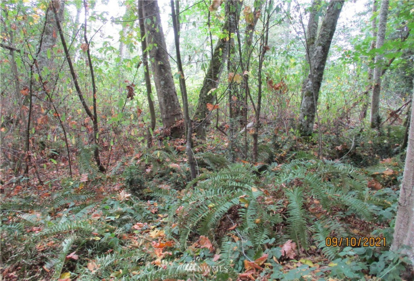 9999 Atterberry, Sequim, Washington 98382, ,Land,For Sale,Atterberry,NWM1838450