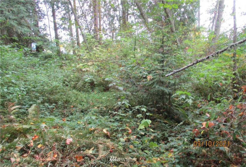 9999 Atterberry, Sequim, Washington 98382, ,Land,For Sale,Atterberry,NWM1838450