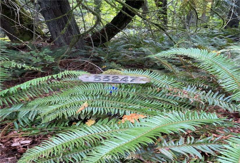 33247 Eglon, Kingston, Washington 98346, ,Land,For Sale,Eglon,NWM1838469