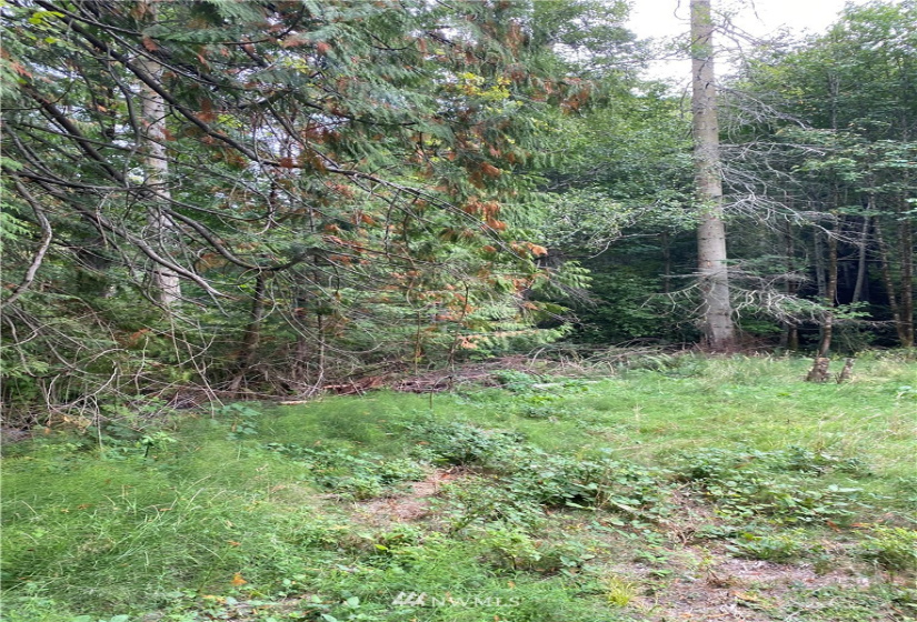 33247 Eglon, Kingston, Washington 98346, ,Land,For Sale,Eglon,NWM1838469