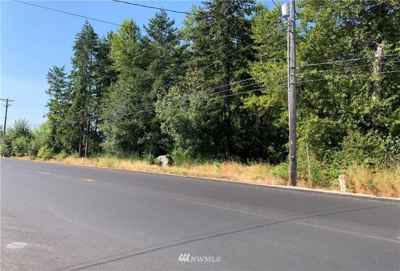 10500 702 south hill park Dr., Tacoma, Washington 98445, ,Land,For Sale,702 south hill park Dr.,NWM1838616