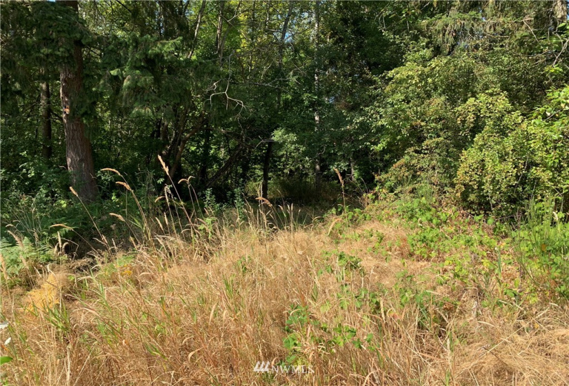 10500 702 south hill park Dr., Tacoma, Washington 98445, ,Land,For Sale,702 south hill park Dr.,NWM1838616
