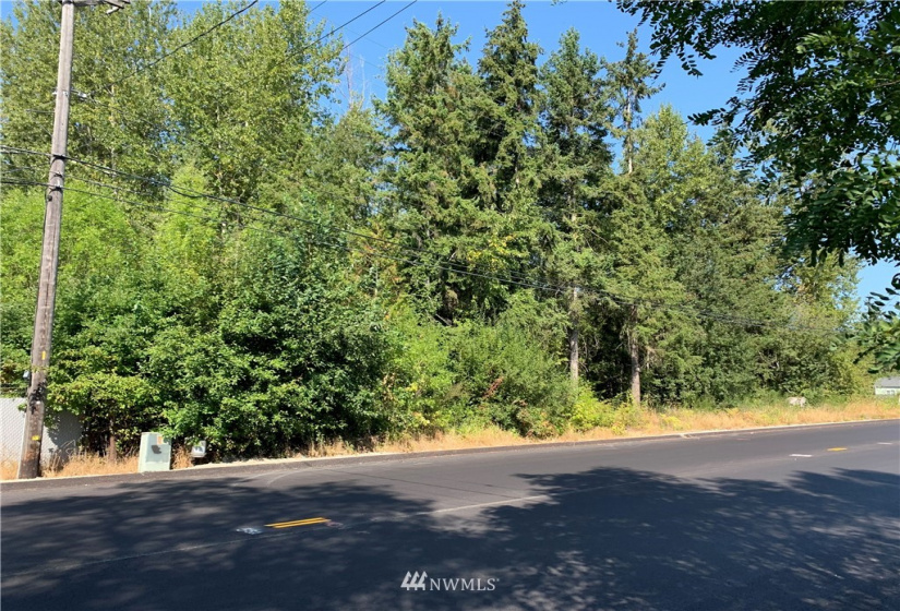 10500 702 south hill park Dr., Tacoma, Washington 98445, ,Land,For Sale,702 south hill park Dr.,NWM1838616