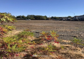 114 Sonoma, Walla Walla, Washington 99362, ,Land,For Sale,Sonoma Place,Sonoma,NWM1838769