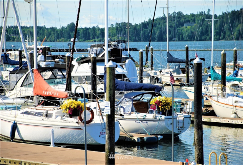 9540 Semiahmoo Pkwy M10 & M11, Blaine, Washington 98230, ,Residential,For Sale,Semiahmoo Marina,Semiahmoo Pkwy M10 & M11,NWM1838792
